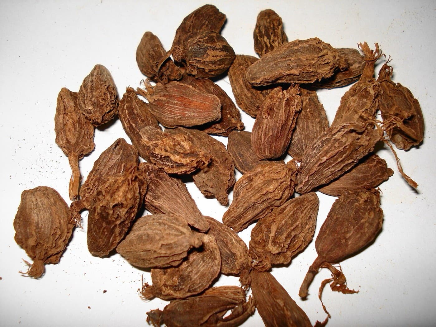 Large Cardamom (Black)