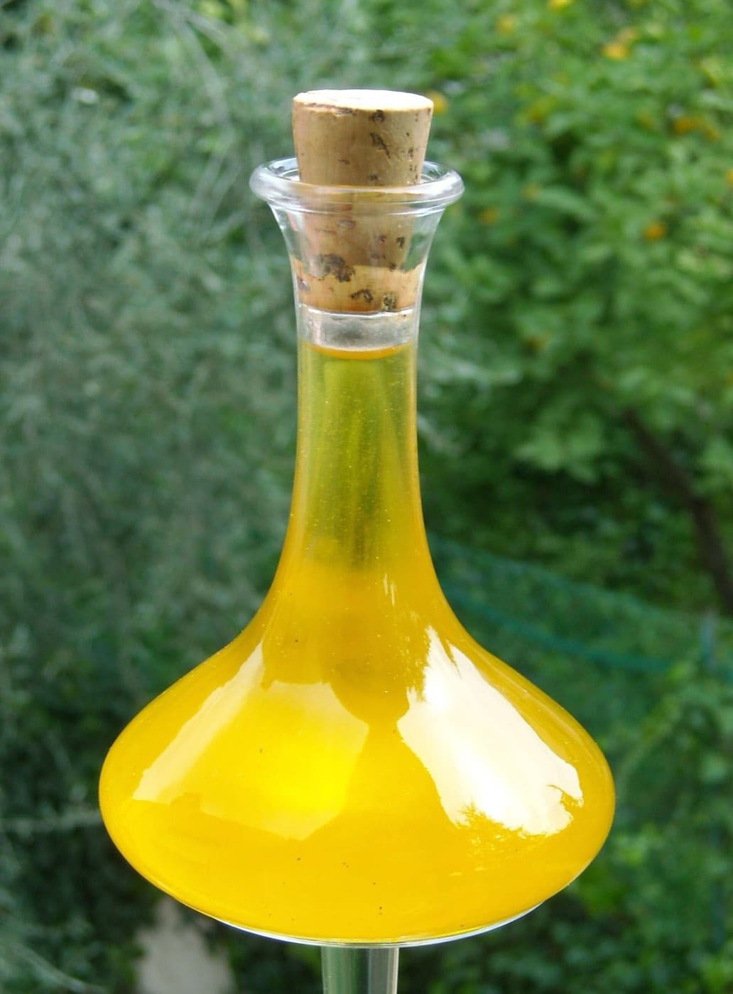 Istrian Extra Virgin Olive Oil